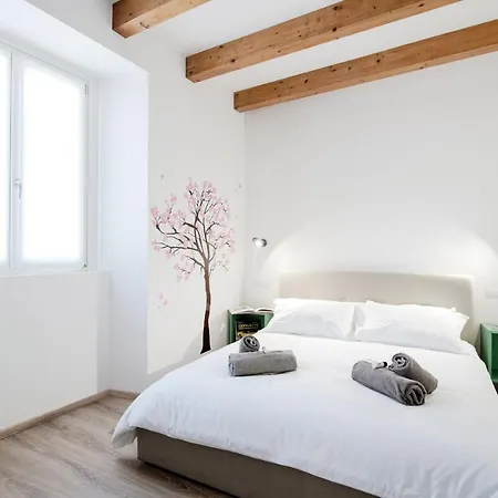 Spazio 77 By 